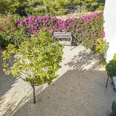 Holiday home Bungalow Hibiscus - Costa *